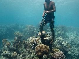 央视力荐纪录片《南海猎人》(2015) 3集 1080P 英语 中文字幕【3.3G】见识真正的海王！