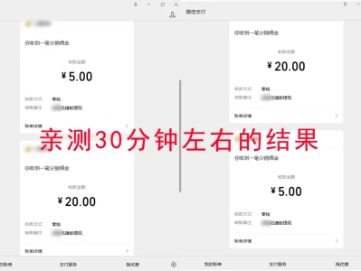 🔥真的很Low 但来钱很快 小姑娘每天能挣1000+