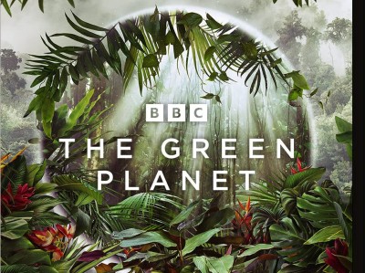 BBC纪录片 绿色星球（2022）【4K 蓝光 HDR】 国英双语TrueHD 7.1 【内封英简繁SUP字幕】 全5集【48.9G】