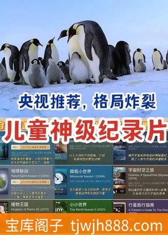 央视力荐137集儿童纪录片格局炸裂 总共5003个文件 (3.56TB)